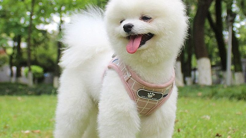 冷库制冷设备厂家排名