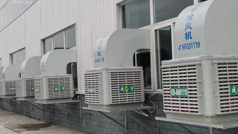 冷冻库尺寸型号差异解析：如何科学选型